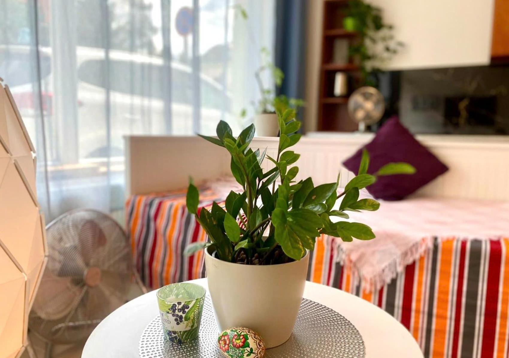 Green Studio Praha 2 L Ground Floor Free Parking Eksteriør bilde